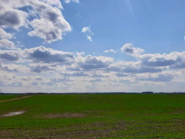 Eladó mezőgazdasági ingatlan Taktakenéz 15000 nm