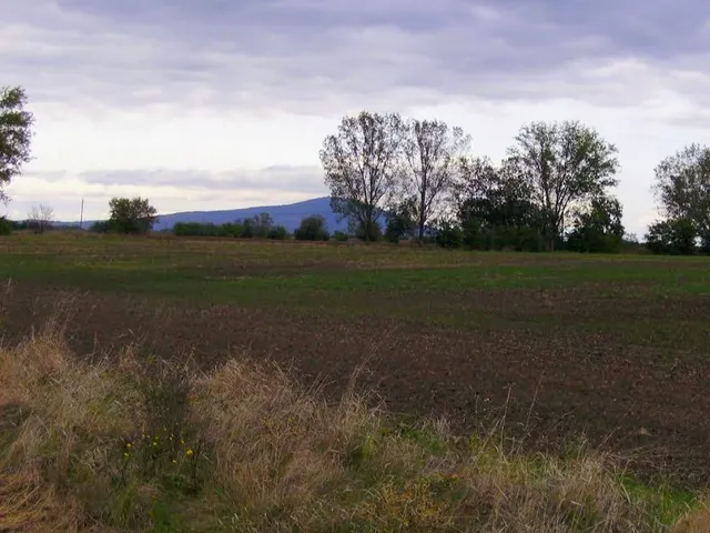 Eladó mezőgazdasági ingatlan Taktakenéz 15000 nm