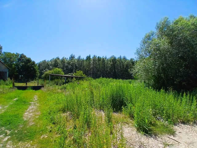 Eladó mezőgazdasági ingatlan Szikszó 300 nm