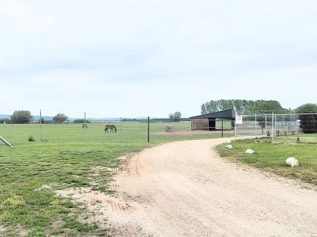Eladó mezőgazdasági ingatlan Sajópálfala 45000 nm