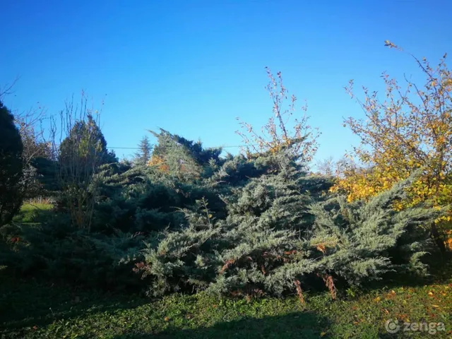 Eladó telek Lovasberény 1079 nm