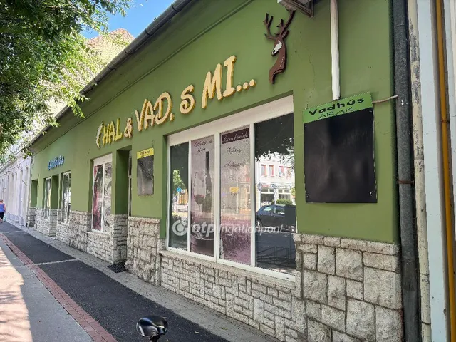 Eladó kereskedelmi és ipari ingatlan Mohács 209 nm