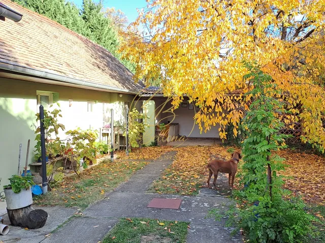 Eladó ház Szászvár 130 nm