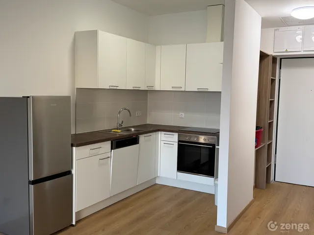 Kiadó lakás Budapest XI. kerület, Budapart 35 nm