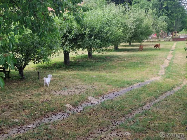 Eladó ház Tarján 64 nm