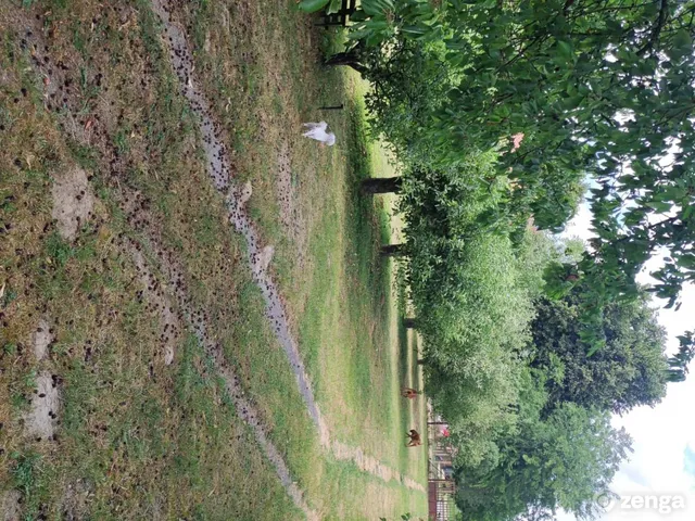 Eladó ház Tarján 64 nm