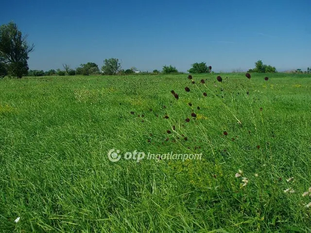 Eladó mezőgazdasági ingatlan Székesfehérvár 23000 nm