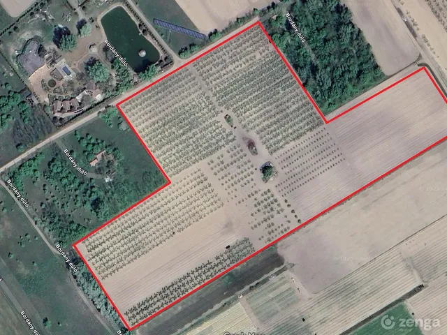 Eladó mezőgazdasági ingatlan Bordány 50000 nm