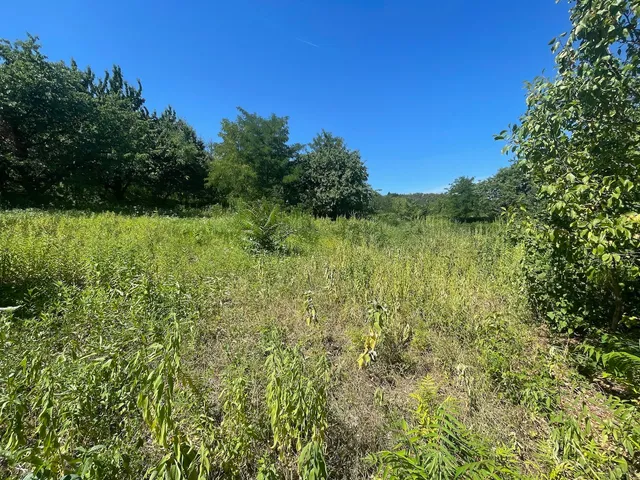 Eladó mezőgazdasági ingatlan Győrújbarát 2419 nm