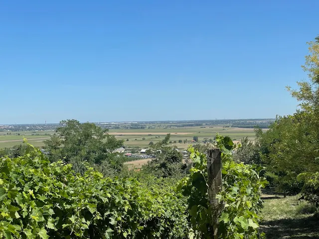 Eladó mezőgazdasági ingatlan Győrújbarát 1347 nm