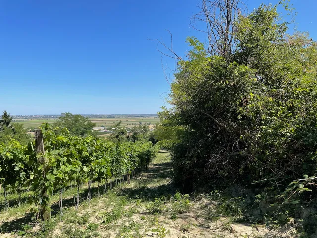 Eladó mezőgazdasági ingatlan Győrújbarát 1347 nm