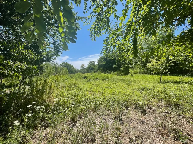 Eladó mezőgazdasági ingatlan Győrújbarát 1347 nm