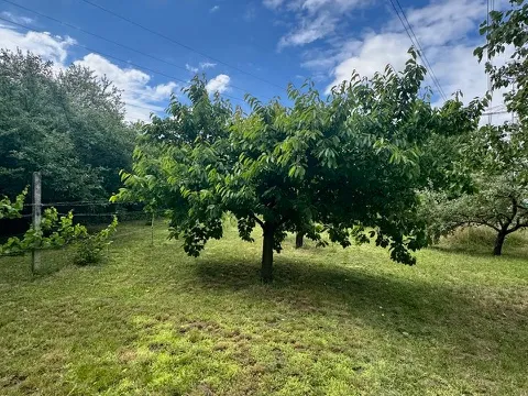 Eladó üdülő és hétvégi ház Győr, Sashegypuszta 20 nm