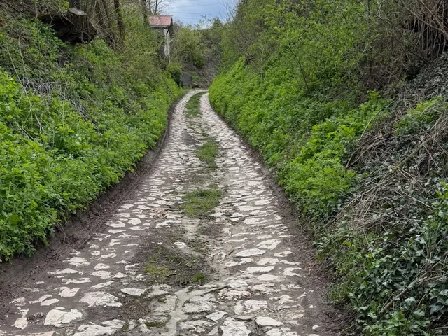 Eladó telek Győrújbarát, Cseh horgas  1002 nm