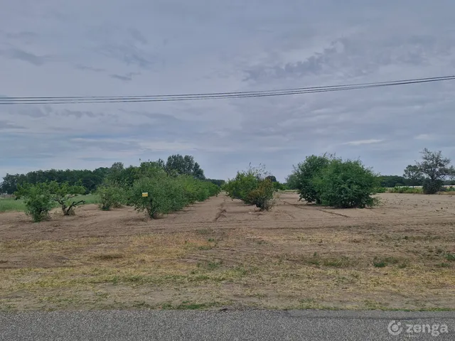 Eladó telek Zsombó 2880 nm