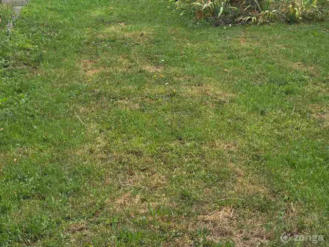 Eladó telek Apátvarasd 2901 nm