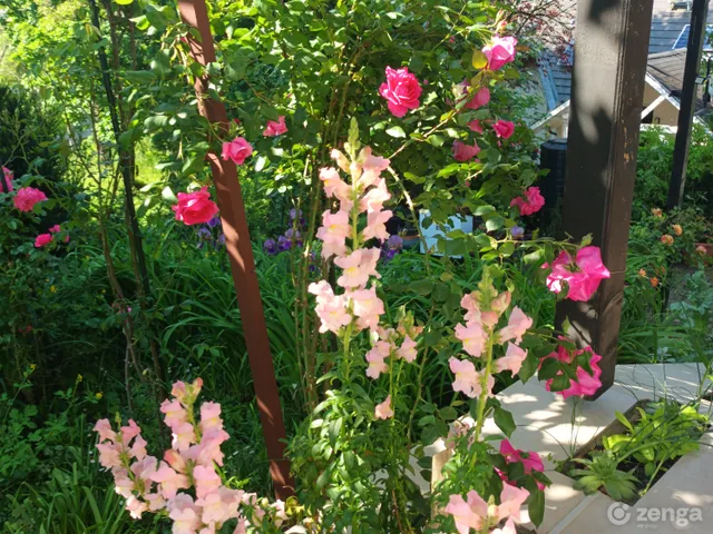 Eladó ház Komló, Béketelep 235 nm