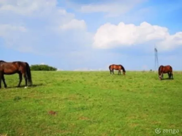 Eladó mezőgazdasági ingatlan Fót, Kisalag 22000 nm