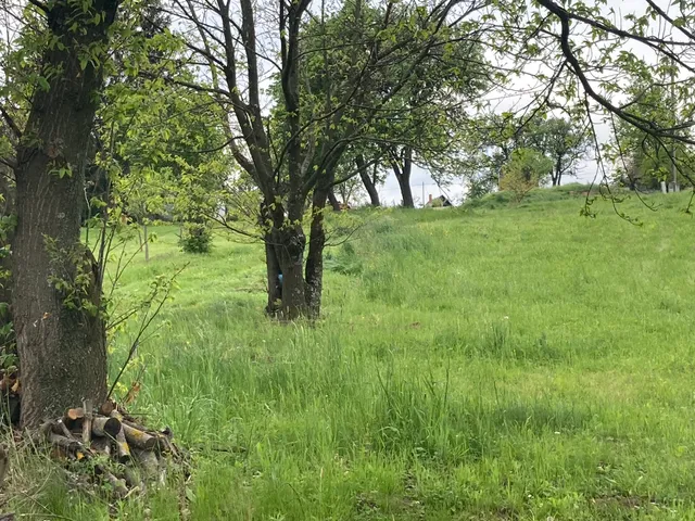 Eladó telek Lukácsháza, Szőlőhegy 2479 nm