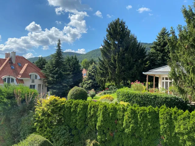 Eladó ház Budapest III. kerület, Testvérhegy, Testvérhegyen szupercsendes utcában  259 nm