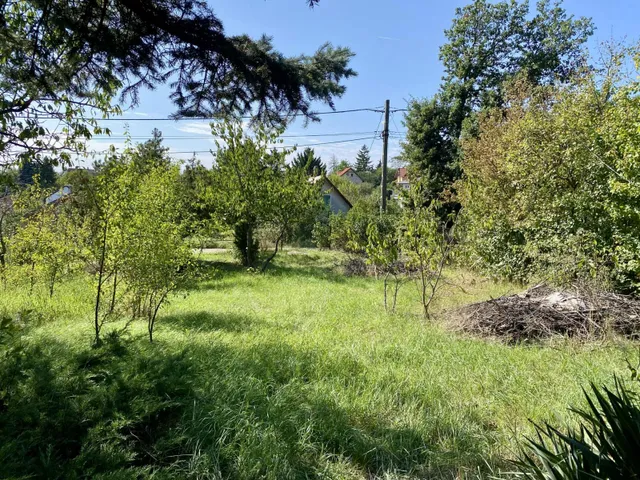 Eladó telek Törökbálint, Kéknefelejcs utca 36. 742 nm