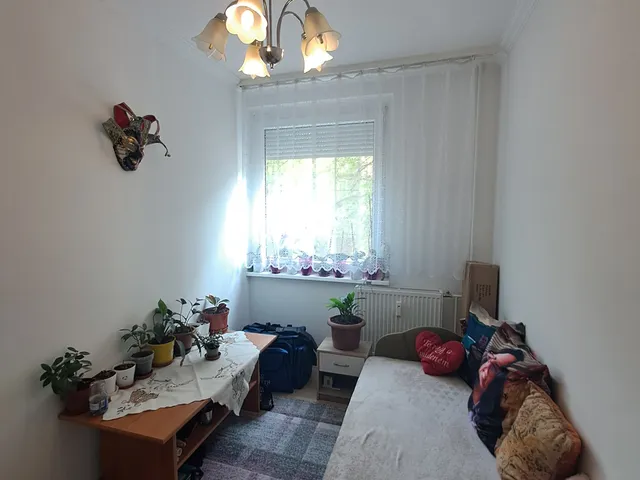 Eladó lakás Debrecen, Újkert 53 nm