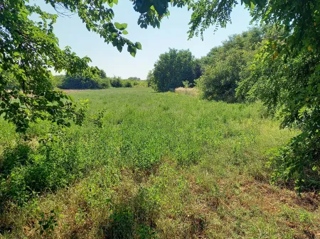 Eladó ház Tiszaföldvár, Nefelejcs utca 100 nm