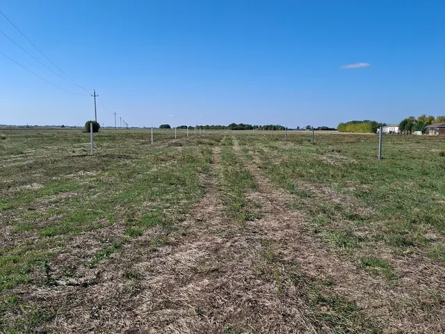 Eladó telek Tószeg 756 nm