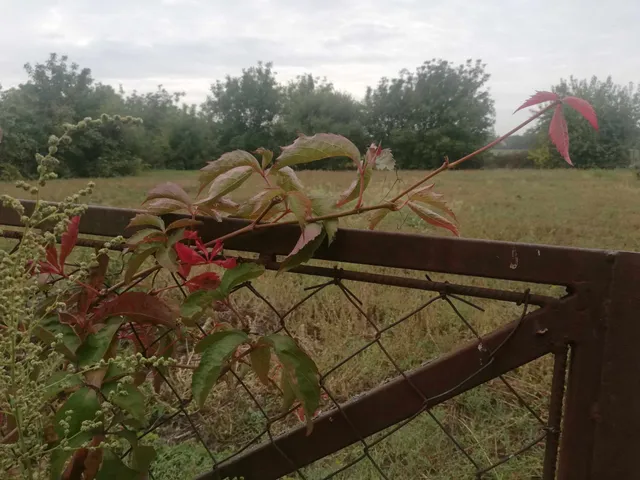 Eladó telek Szolnok, Üdülőtelep 958 nm