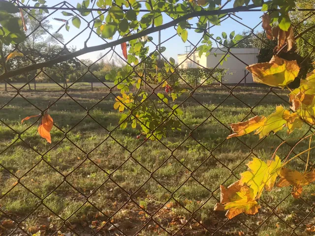 Eladó telek Szolnok, Alcsisziget, Ágnes utca  2882 nm