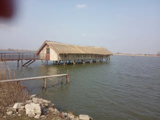 Eladó mezőgazdasági ingatlan Tiszasüly 1260 nm