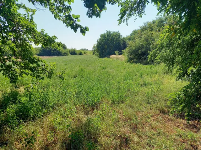 Eladó telek Tiszaföldvár, Homok 2088 nm