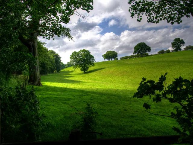 Eladó telek Újszilvás 1000 nm