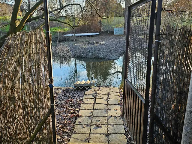 Eladó üdülő és hétvégi ház Szolnok, Alcsisziget 16 nm