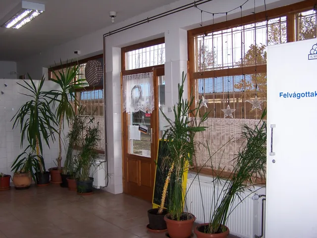Eladó kereskedelmi és ipari ingatlan Mezőtúr, Erzsébetliget 216 nm