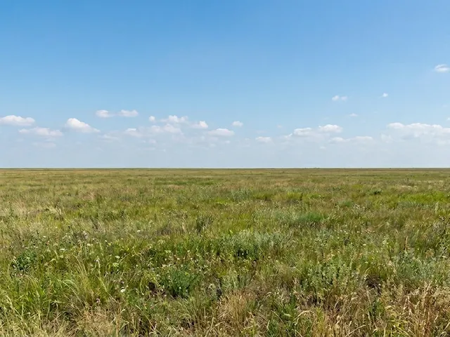 Eladó mezőgazdasági ingatlan Szolnok, Északnyugati városrész 3889 nm