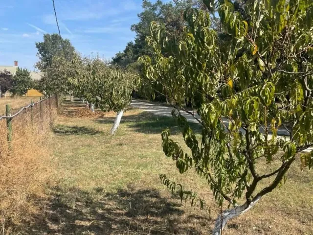 Eladó kereskedelmi és ipari ingatlan Szolnok, Malomszeg, Besenyszögi út 200 nm