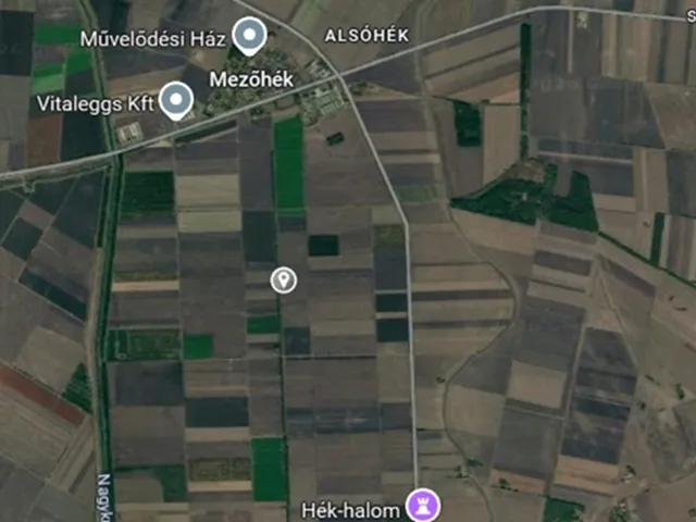 Eladó mezőgazdasági ingatlan Mezőhék 41413 nm