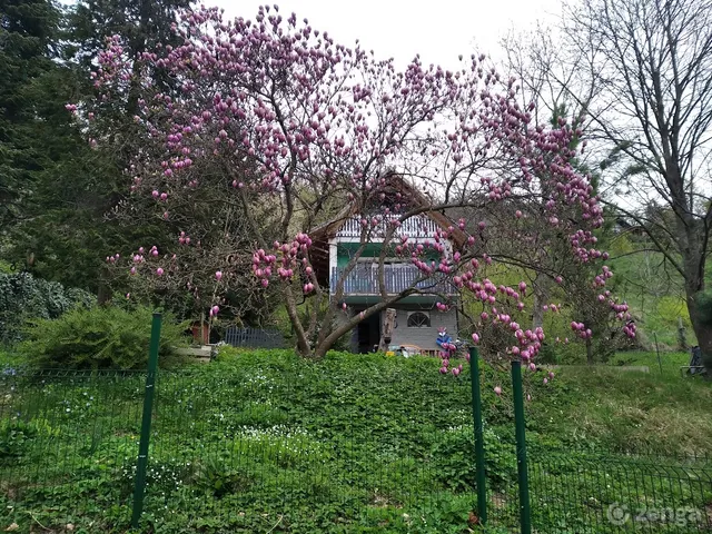 Eladó ház Kőszeg 54 nm
