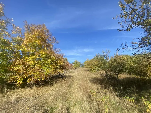 Eladó telek Óbarok, Szőlőhegy utca 2052 nm