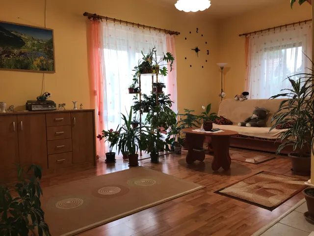 Eladó ház Debrecen, Felsőjózsa 130 nm