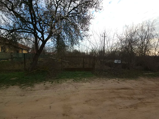 Eladó telek Kecskemét, Halasi úti kiskertek 718 nm