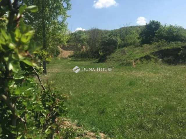 Eladó telek Teleki 54000 nm