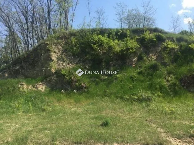 Eladó telek Teleki 54000 nm