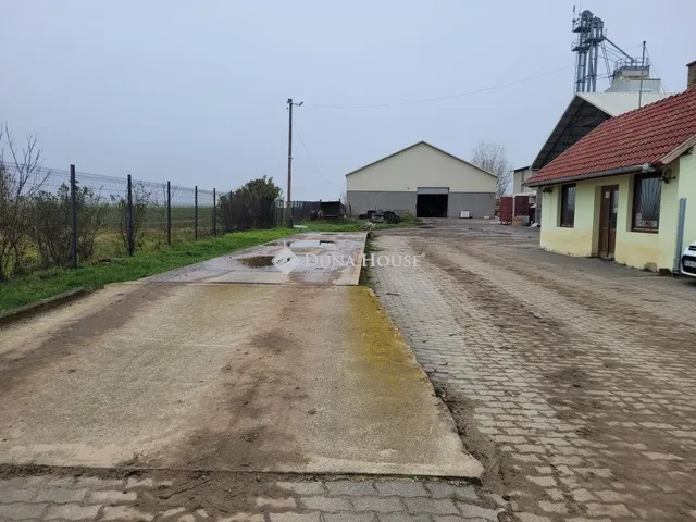 Eladó mezőgazdasági ingatlan Szőlősgyörök 180000 nm