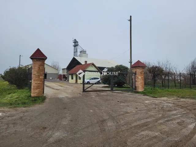 Eladó mezőgazdasági ingatlan Szőlősgyörök 180000 nm