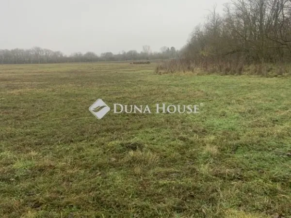 Eladó mezőgazdasági ingatlan Balatonőszöd 90429 nm