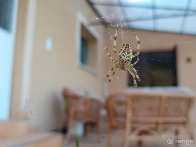 Eladó ház Mór 240 nm