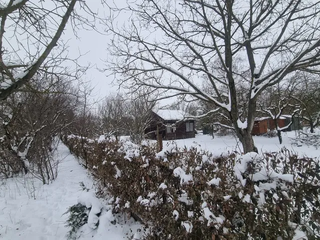 Eladó telek Szeged-Hattyas 778 nm