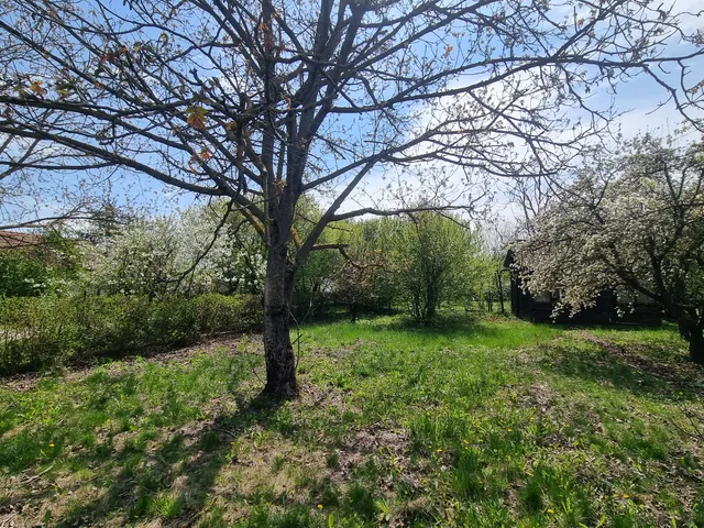 Eladó telek Szeged-Hattyas 778 nm